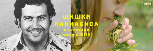 метадон Михайлов