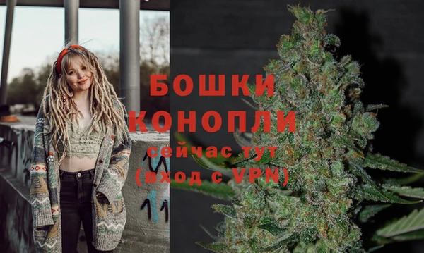 ПСИЛОЦИБИНОВЫЕ ГРИБЫ Михайловск